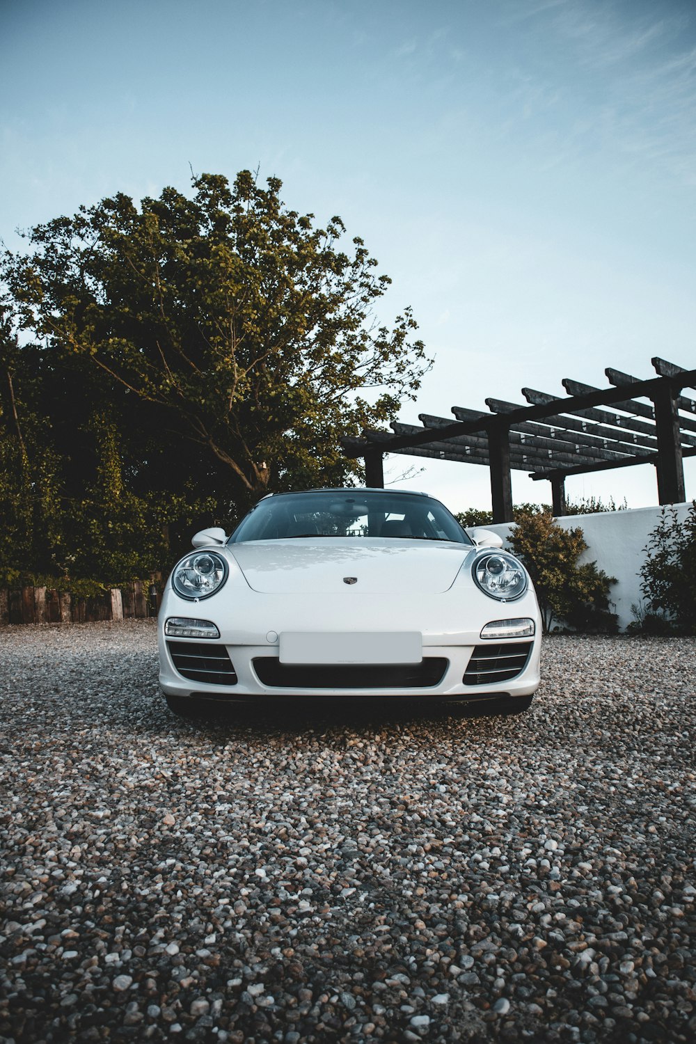 white porsche 911 parked near green leaf tree during daytime