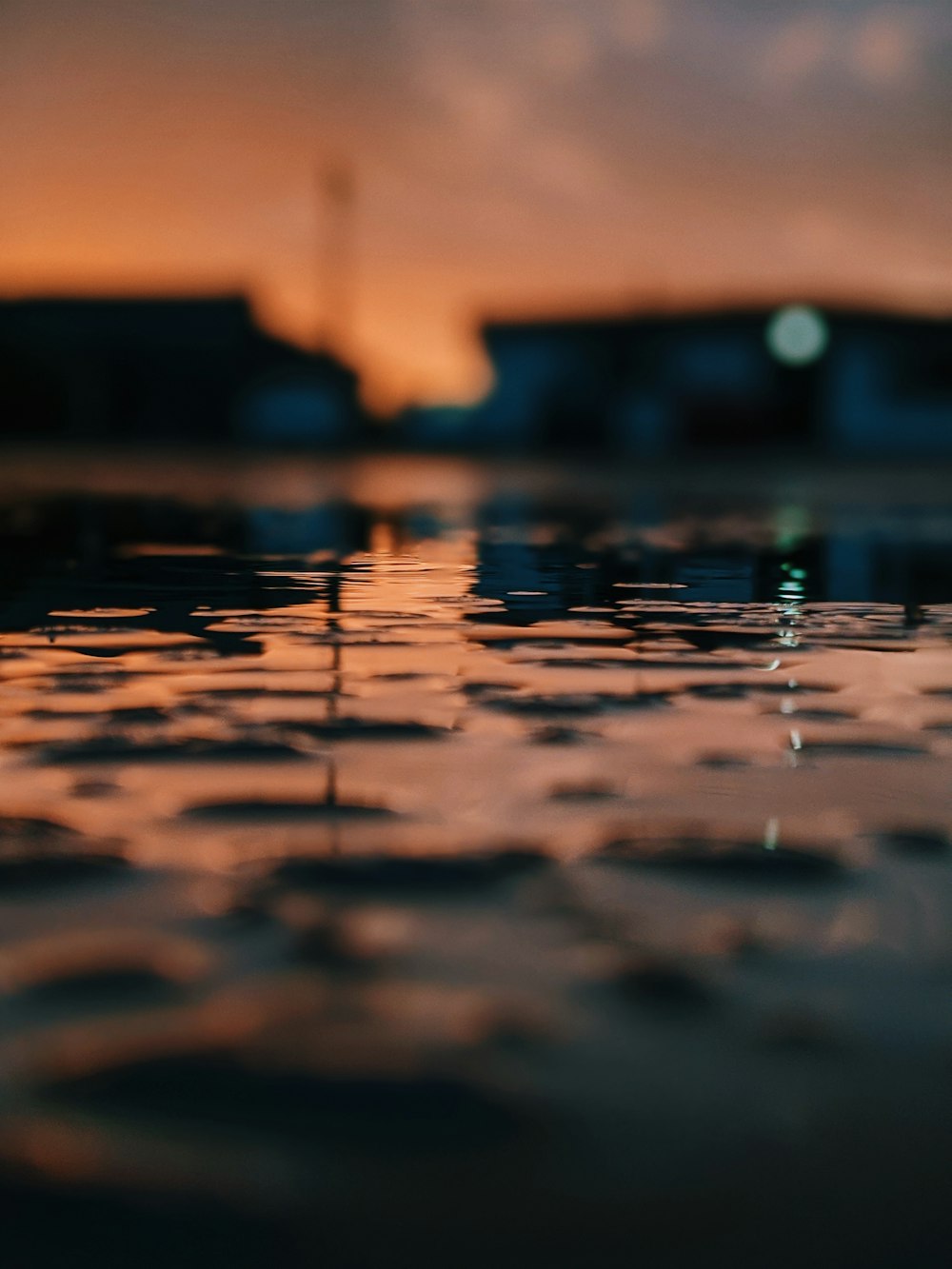 Wassertröpfchen auf dem Boden bei Sonnenuntergang