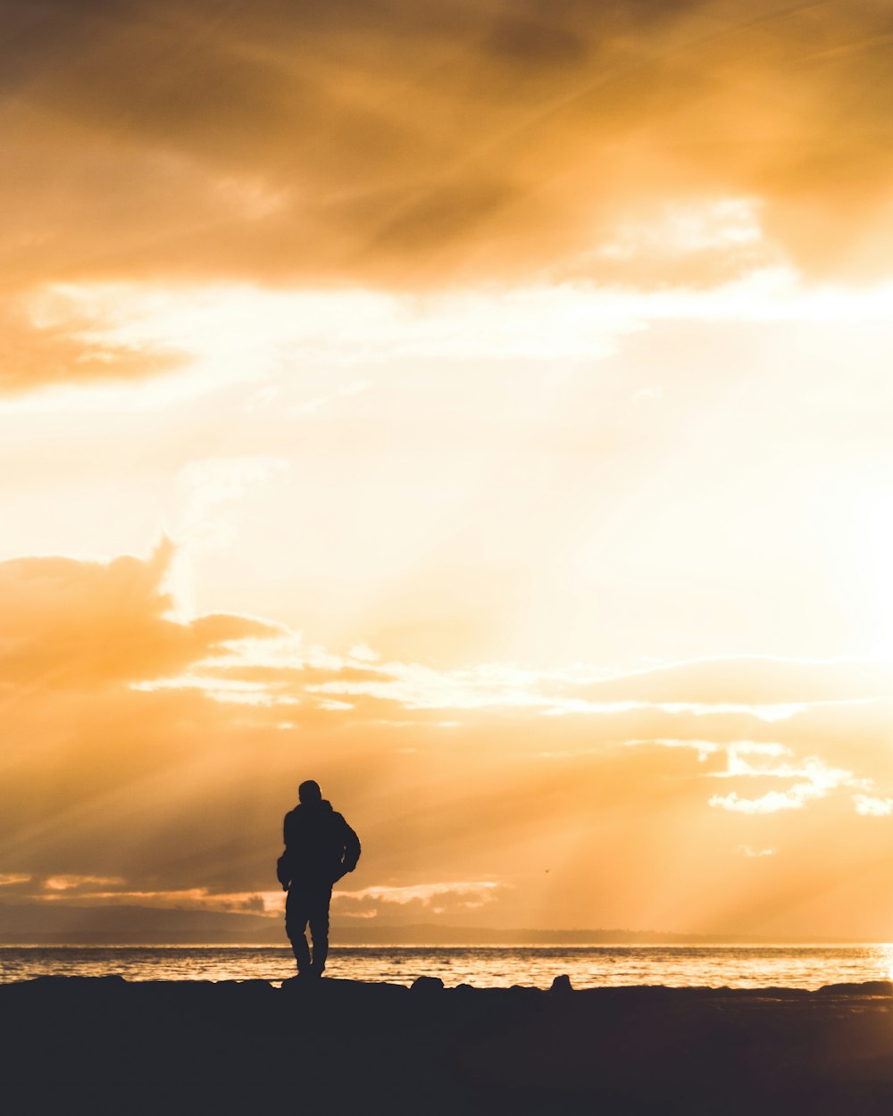 silhouette of man standing on seashore during sunset
