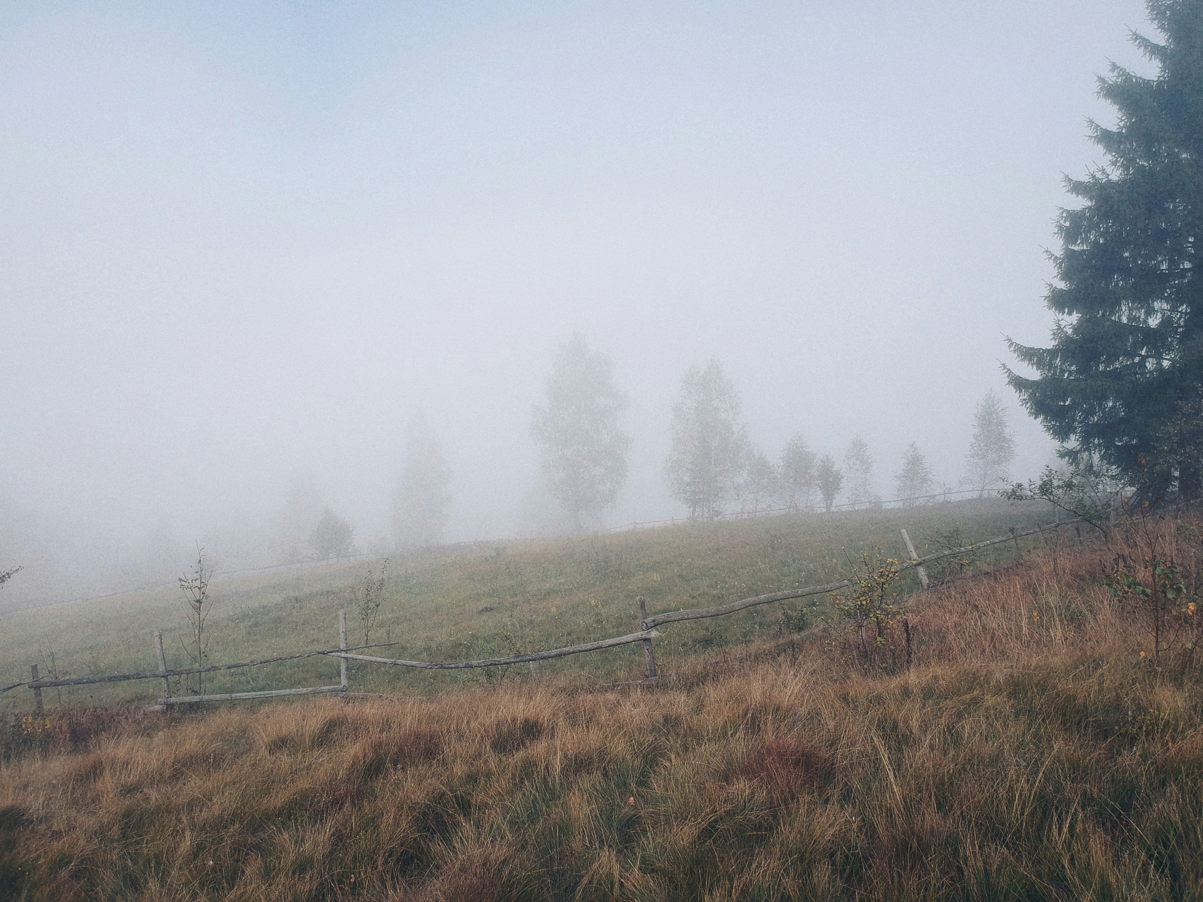 Photo by timesnewroman14