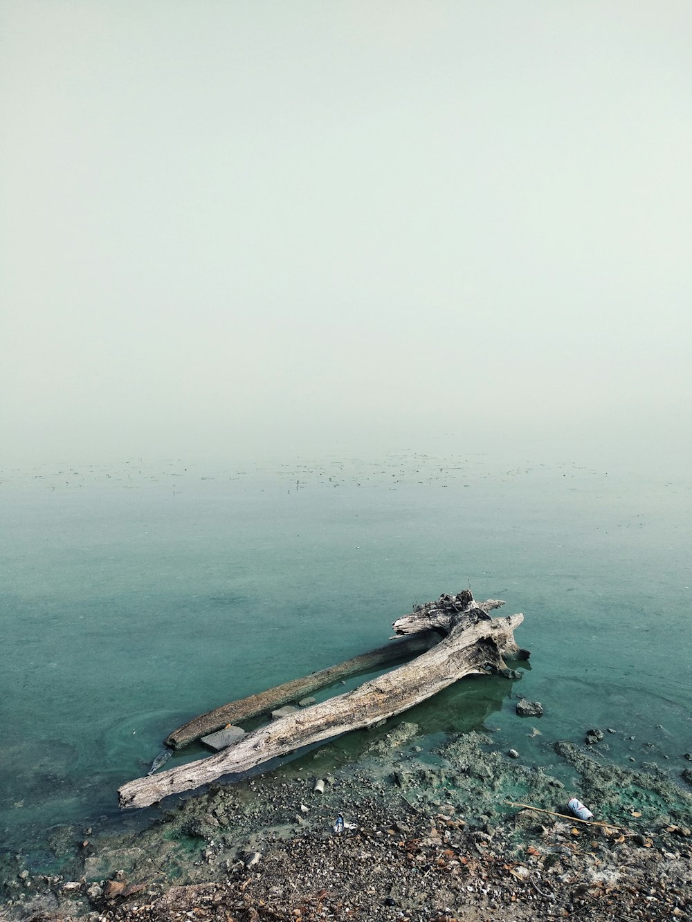 brown wooden dock on body of water during daytime