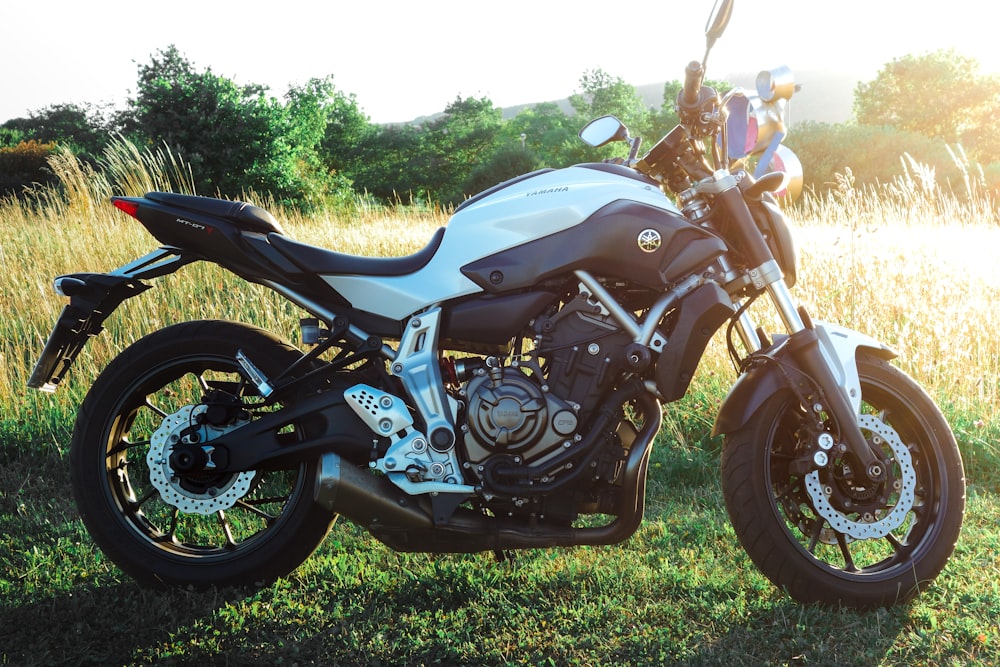 black and silver cruiser motorcycle on green grass field during daytime