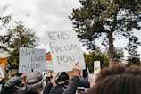 A diverse group of people participating in a protest with signs advocating against racism, surrounded by trees under a cloudy sky. Prominent signs include messages like Black Lives Matter and End Racism Now.
