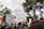 A diverse group of people participating in a protest with signs advocating against racism, surrounded by trees under a cloudy sky. Prominent signs include messages like Black Lives Matter and End Racism Now.