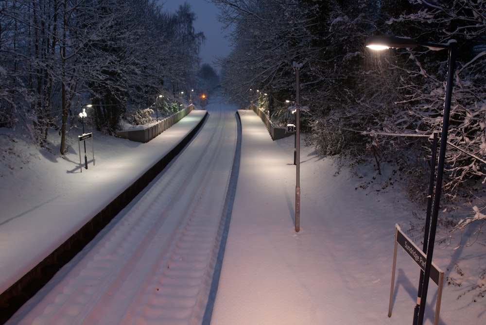 road between trees covered with snow during night time