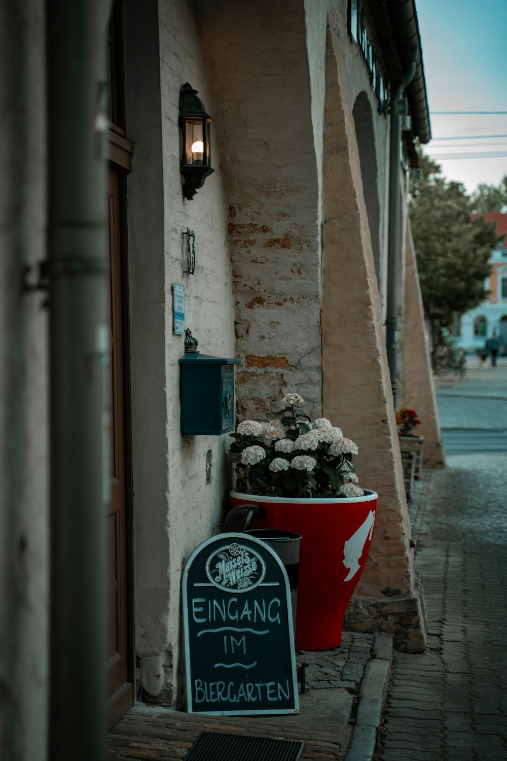 a potted plant sitting on the side of a building