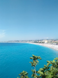A vibrant photo of Miami Beach showcasing its stunning coastline.