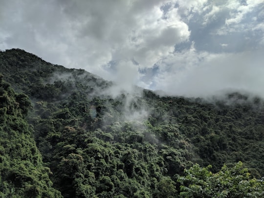 photo of Wulai District Rainforest near Yehliu