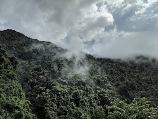 green trees on mountain under white clouds during daytime in Wulai District Taiwan