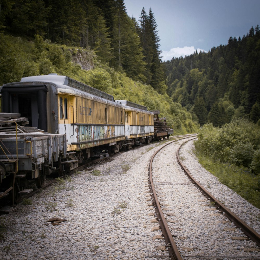 brown train on rail tracks near green trees during daytime