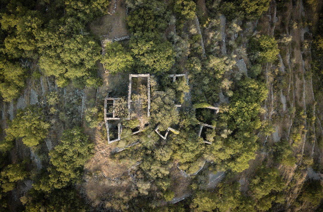 photo of Ardèche Forest near Château de Crussol