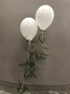 Two white balloons are floating against a simple, neutral grey background. The balloons are decorated with green fern-like plants attached to their strings, adding a natural element to the scene.