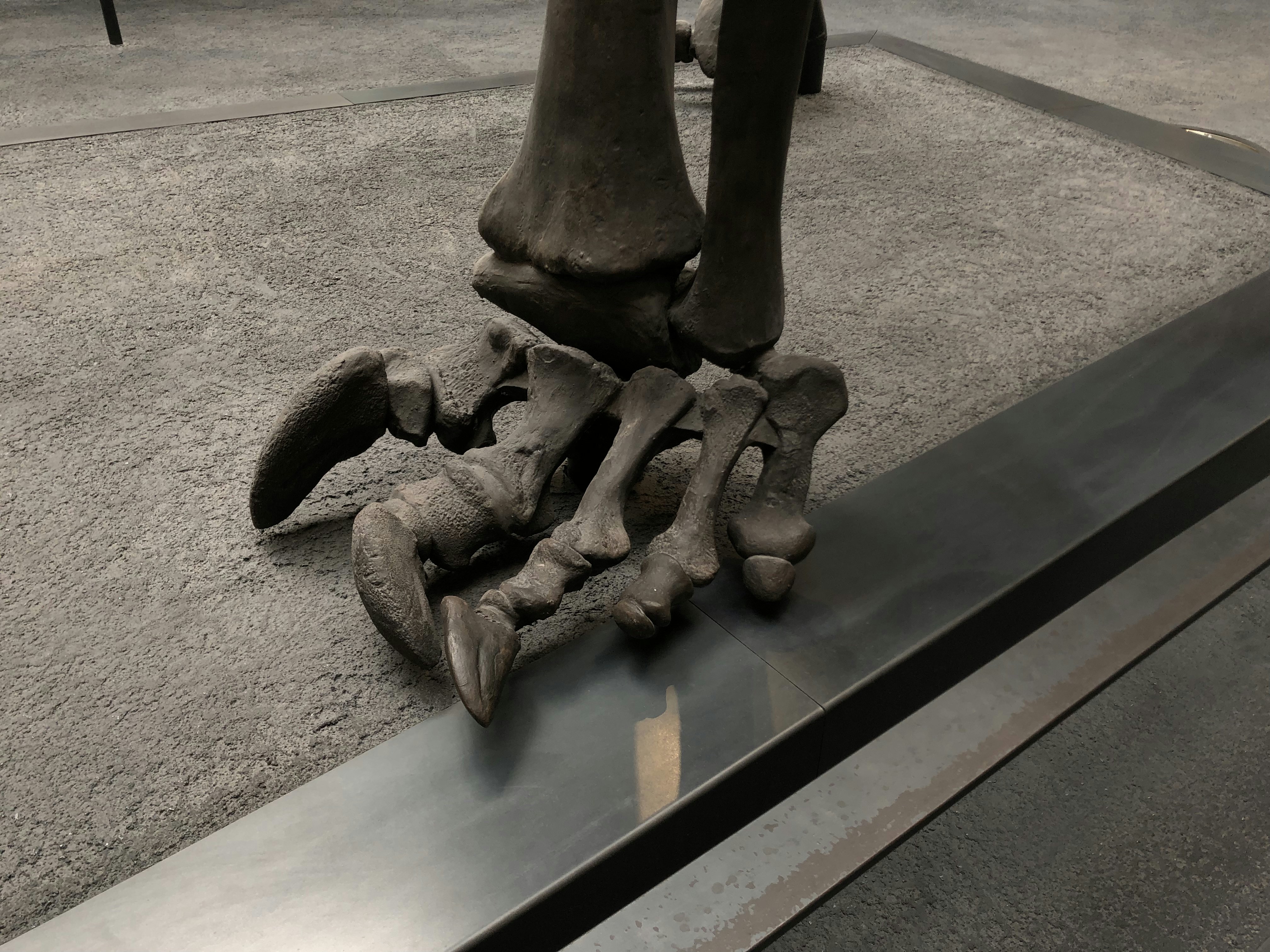 Dinosaurs of Tibet: Evidence and Discoveries on the Tibetan Plateau