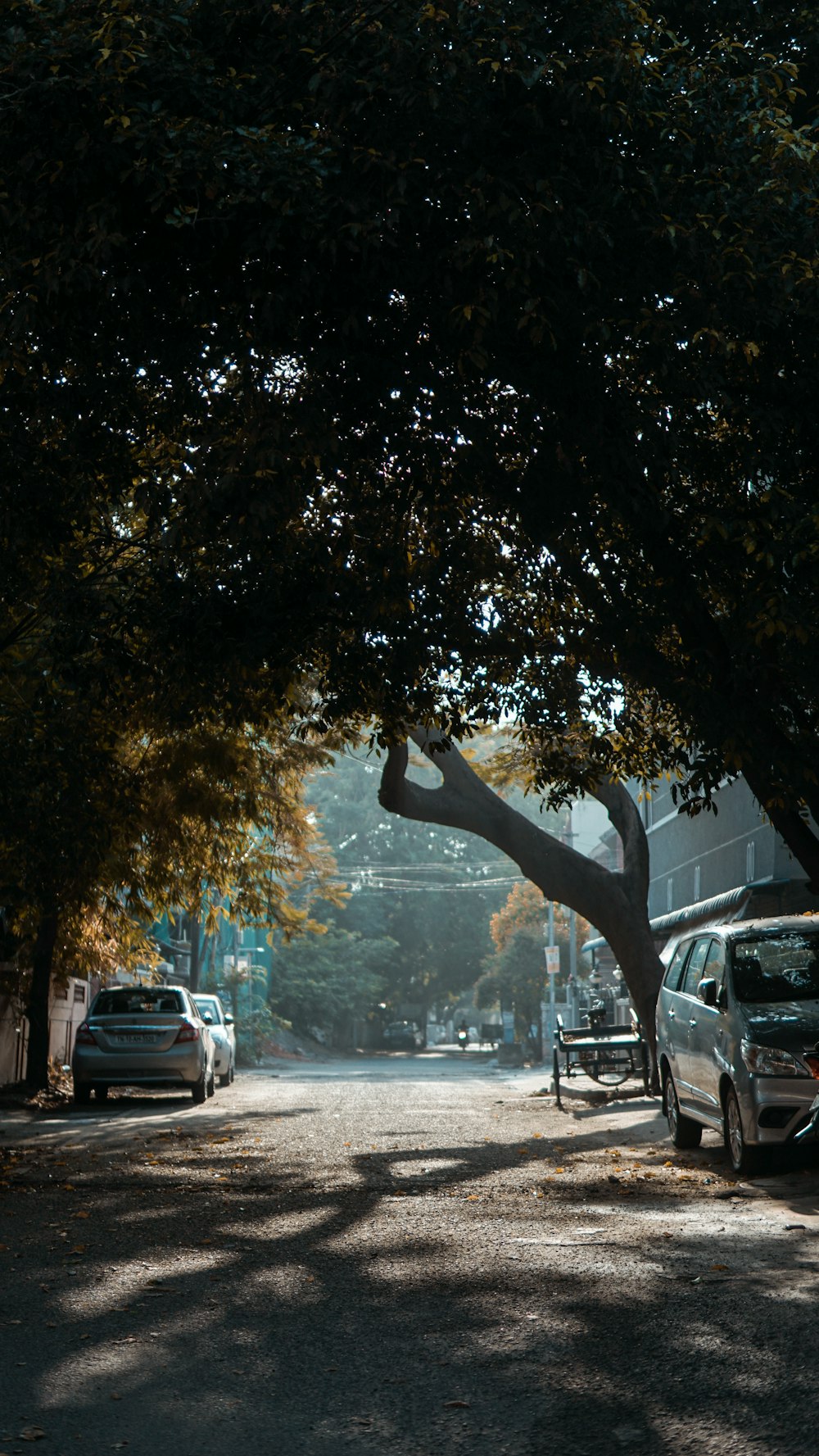 person jumping on the road during daytime