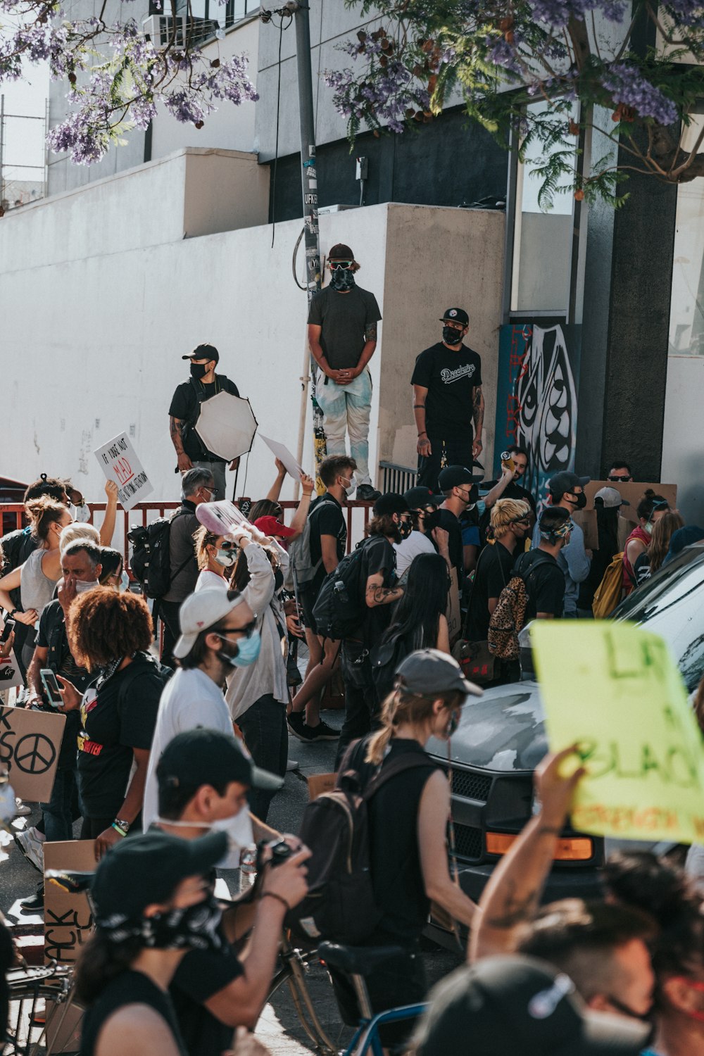 people gathering on street during daytime