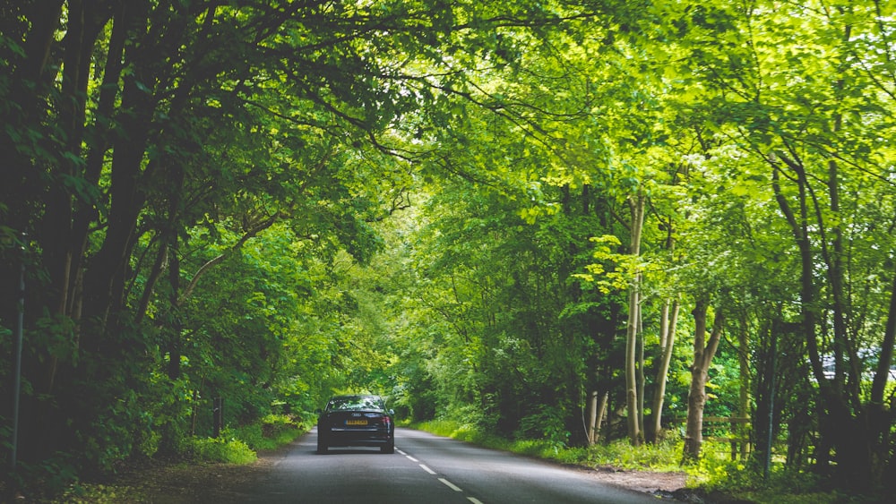 black car on road between green trees during daytime