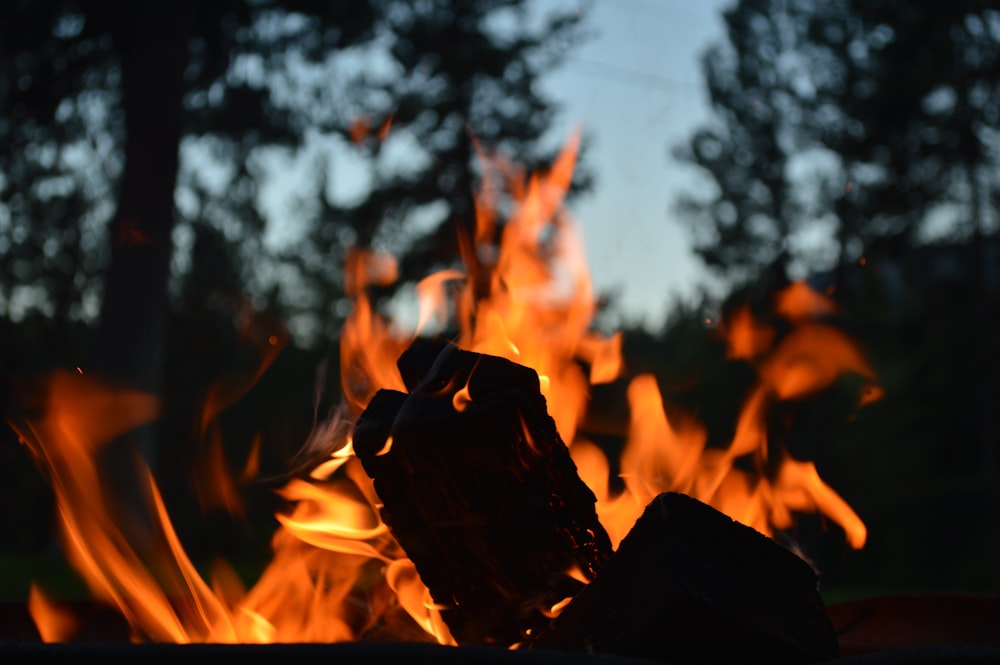 burning wood during day time