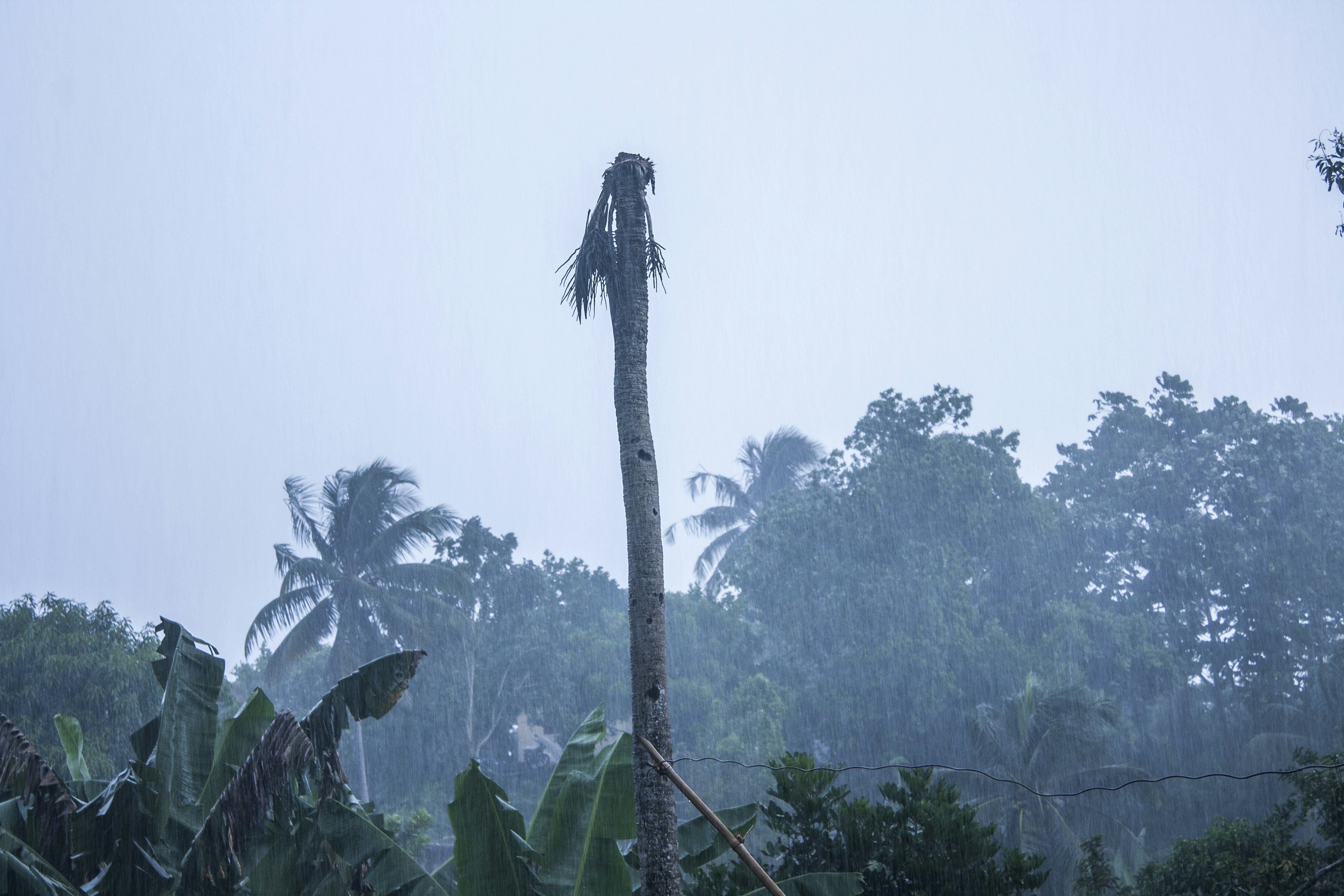 Melissa Wipes Out 7.2% of Jamaica’s Infrastructure, Finance Tools Cover Only a Fraction: World Bank