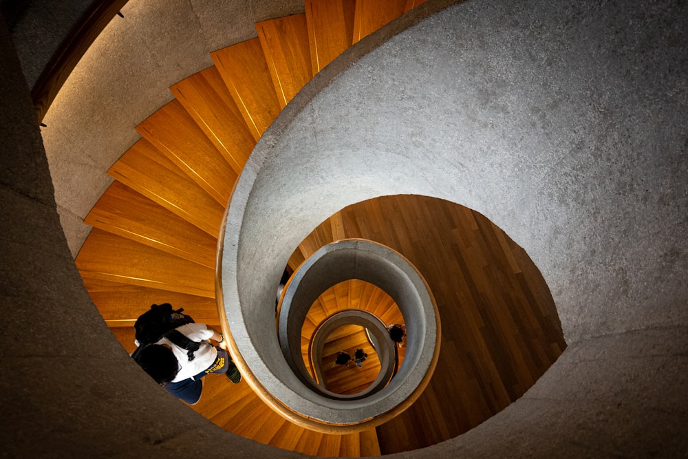 people walking on spiral staircase