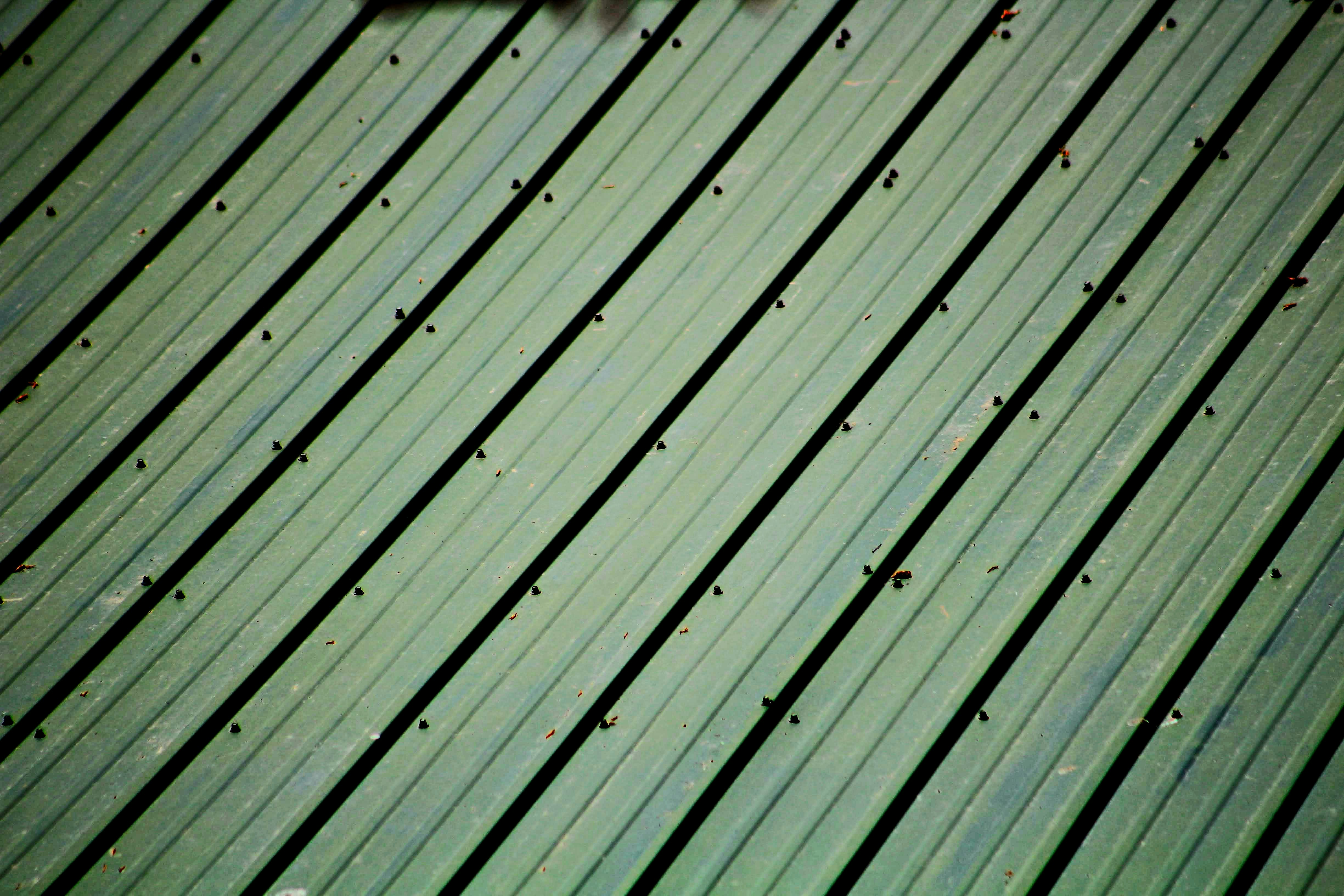 Photo by joshua_hoehne