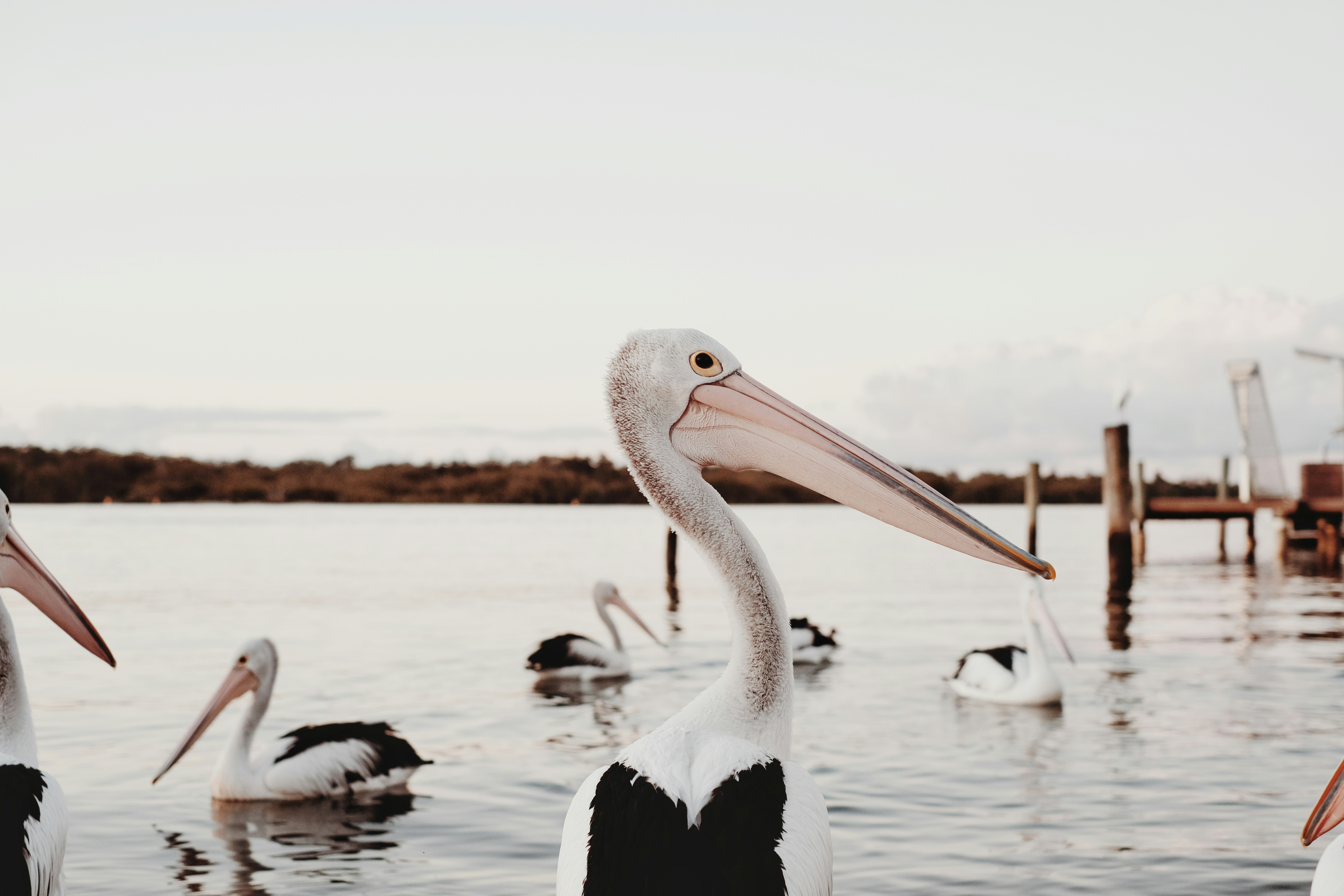 Photo by valeriiamiller