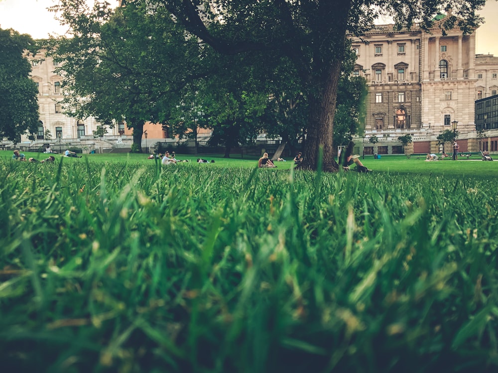 green grass field near brown concrete building during daytime