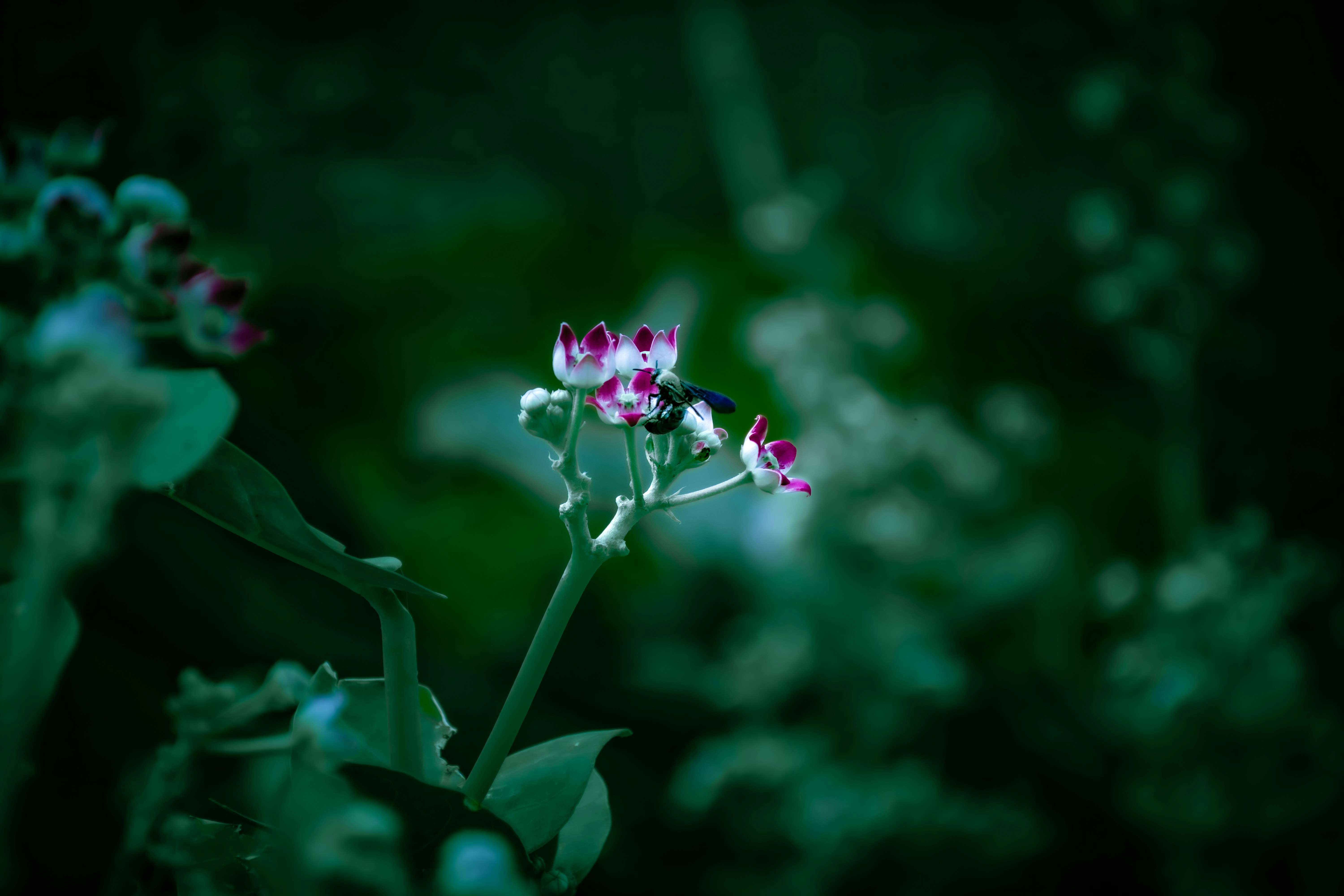 Photo by reetaish_kumawat