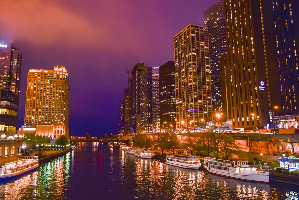 city skyline during night time