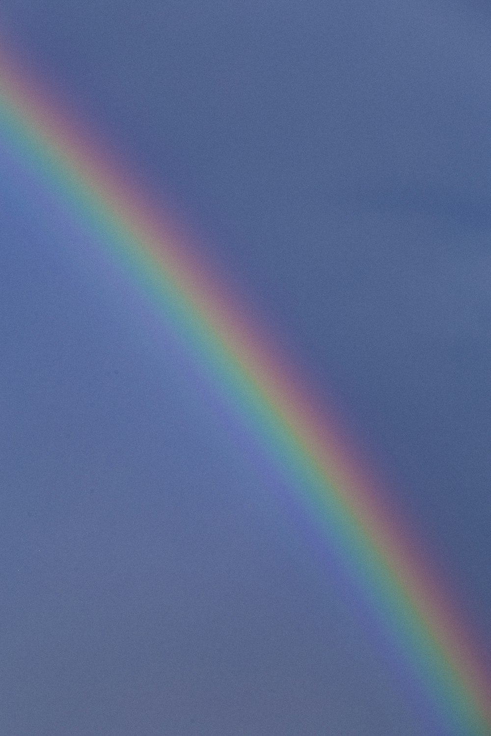 luz rosa y verde sobre superficie azul