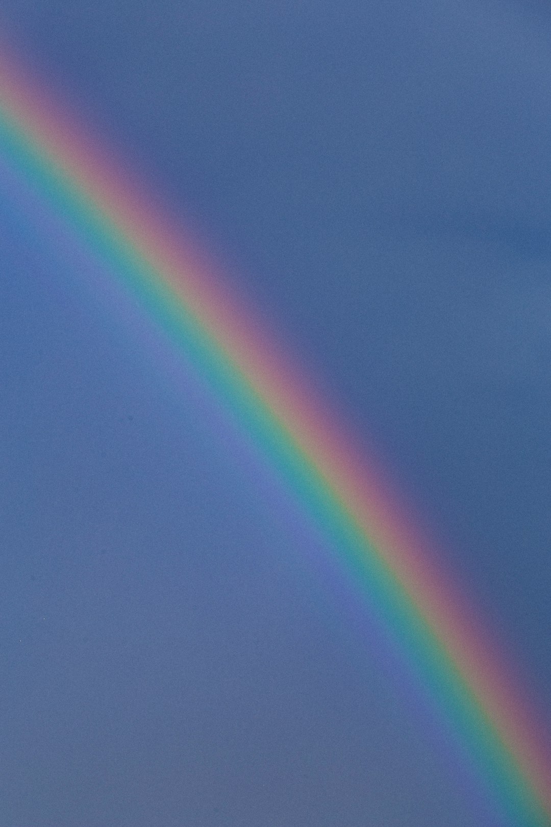 pink and green light on blue surface