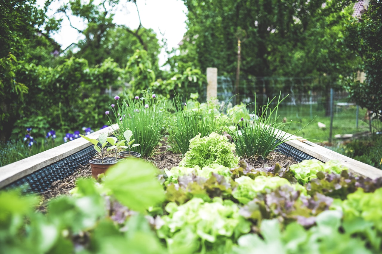 How To Grow Your Own Food With Container Gardens And Raised Beds
