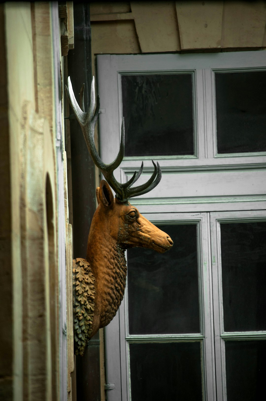 brown giraffe on window during daytime