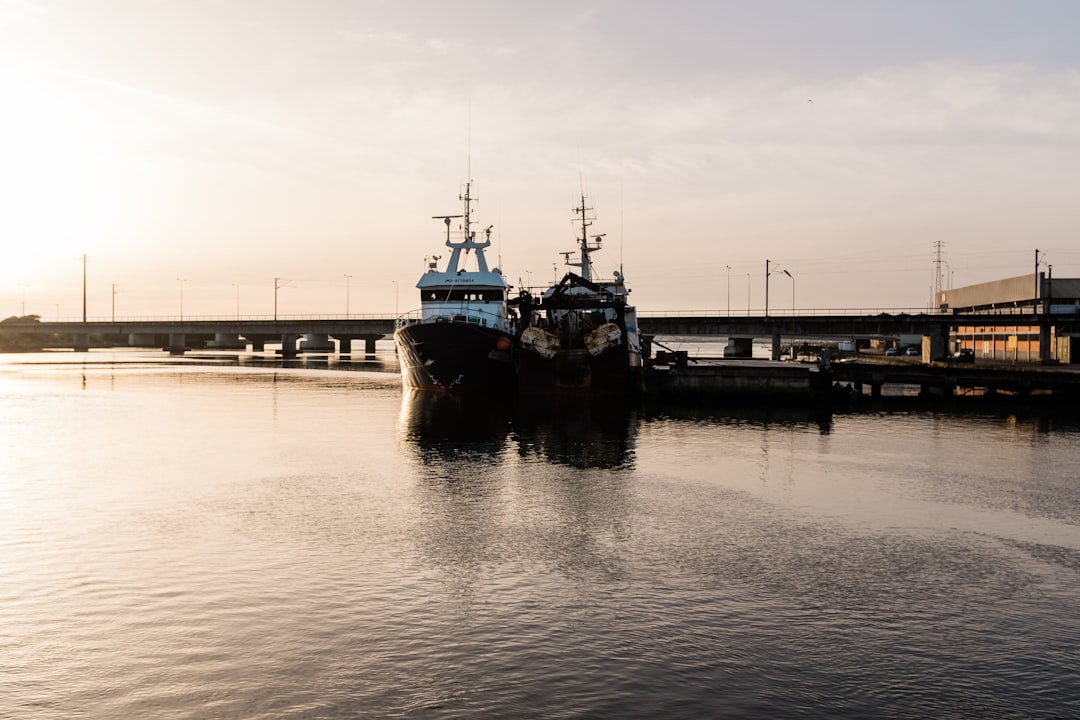 brown ship on dock during daytime