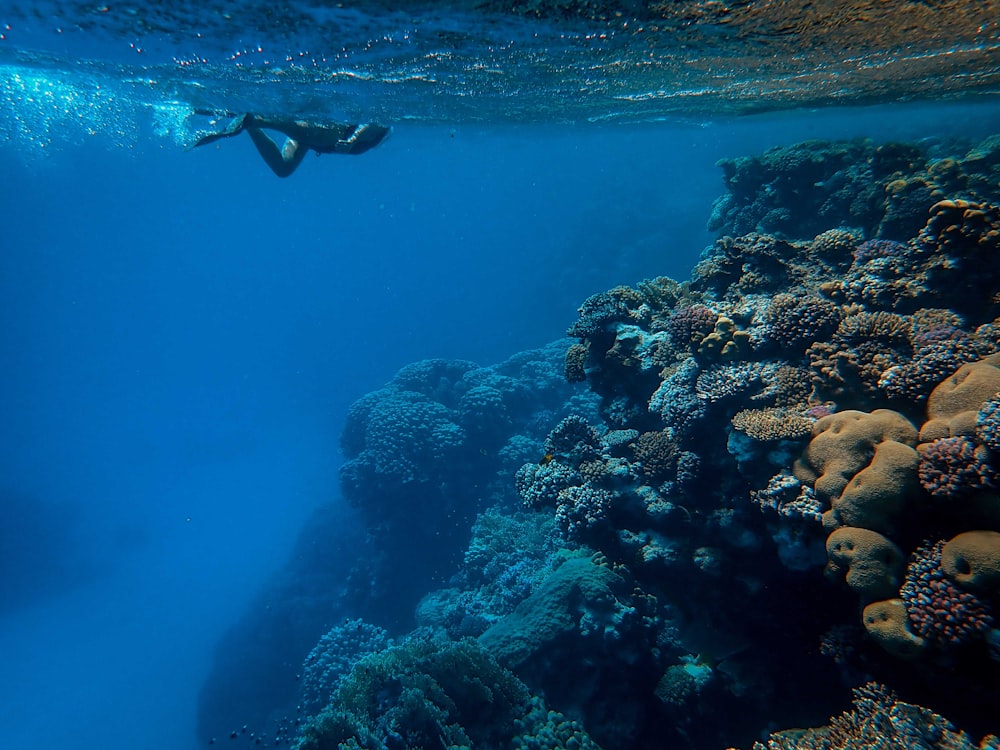 man in black swimming trunks in water