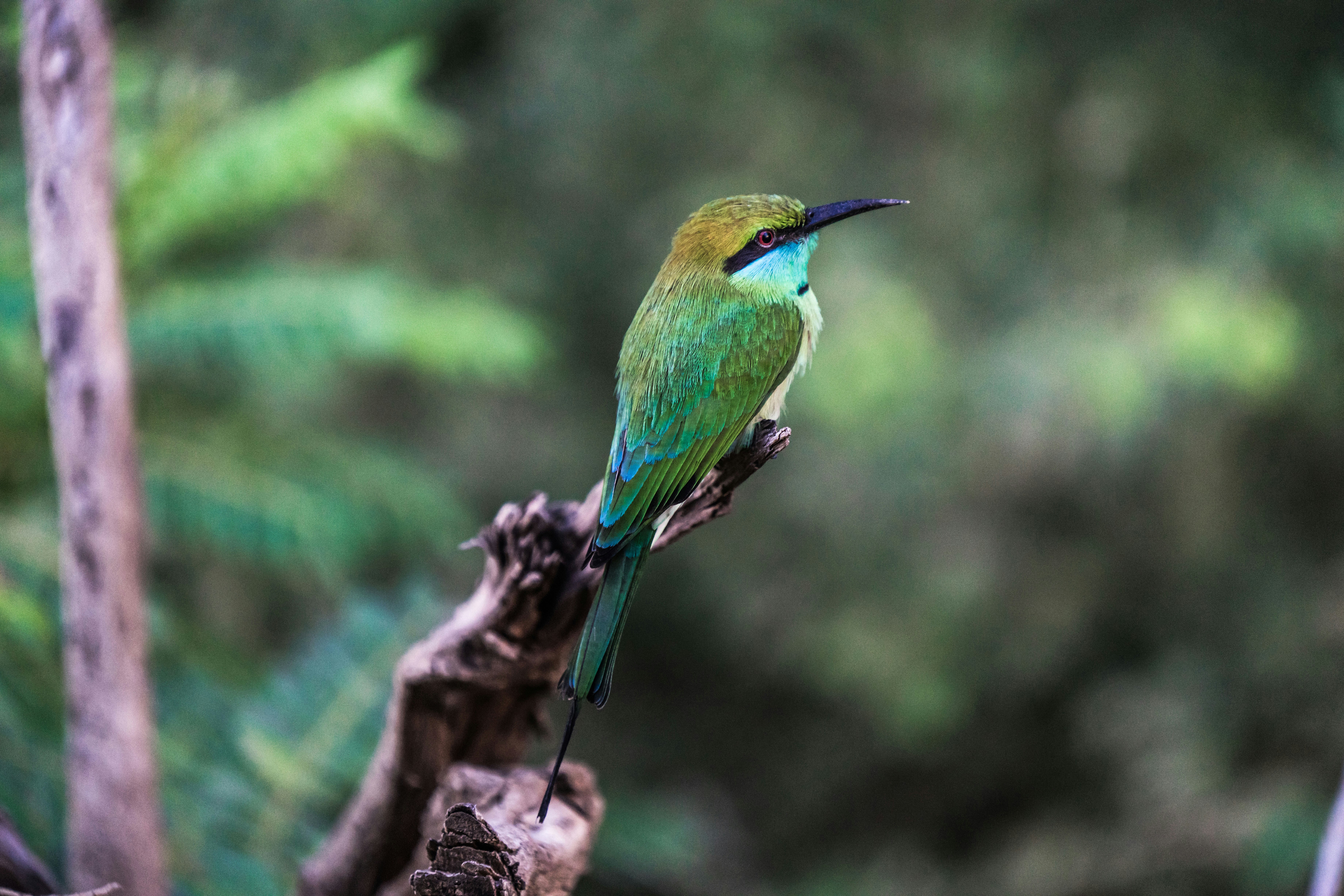 Photo by errolmarius