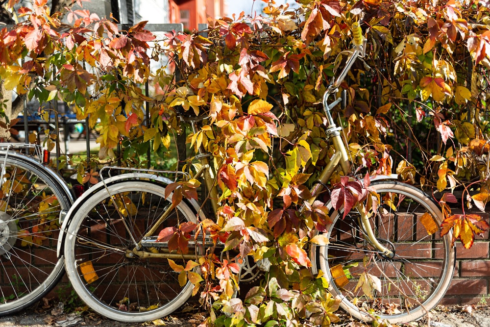 black bicycle with green and brown leaves