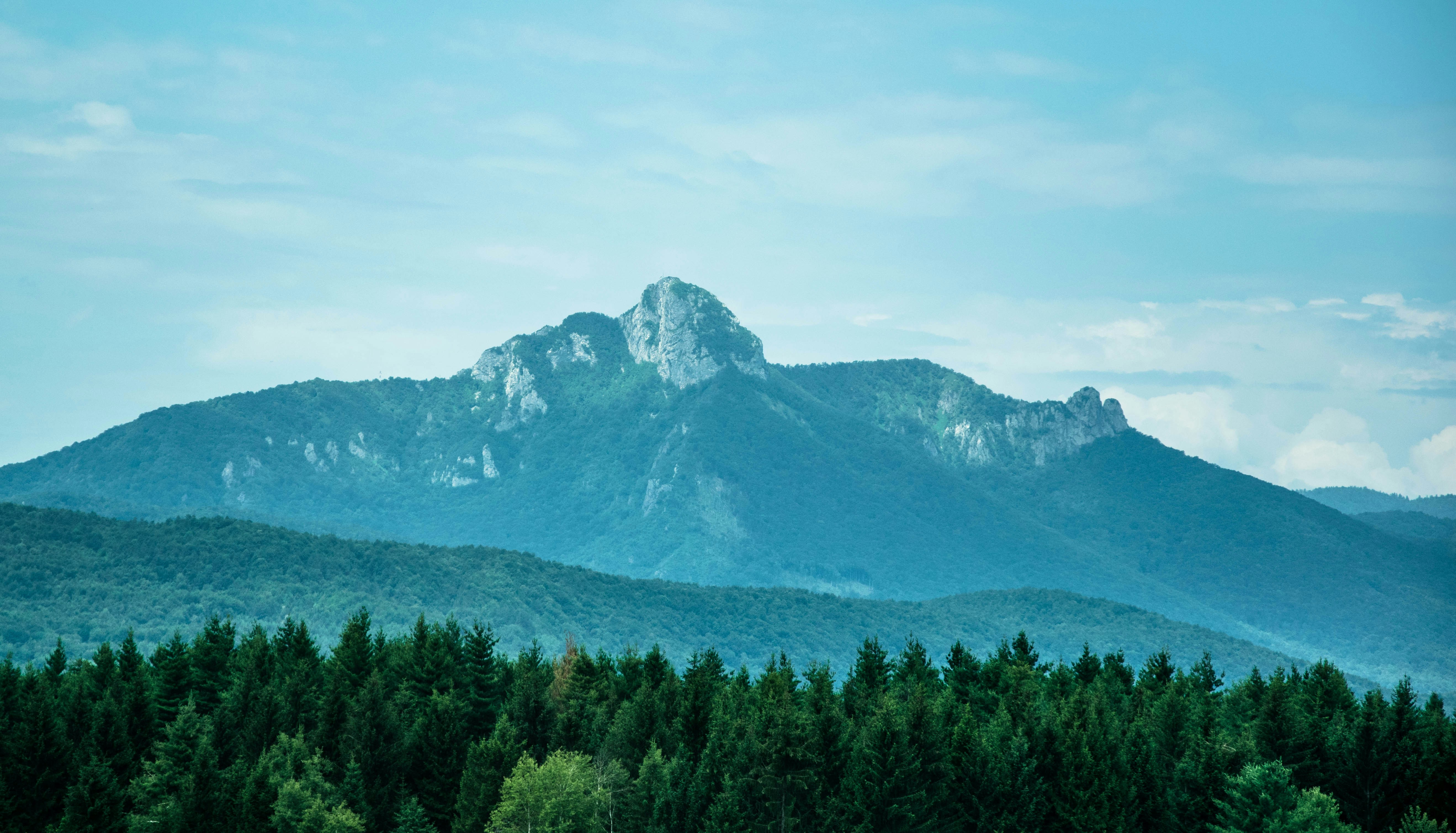 Photo by rolandfenyes