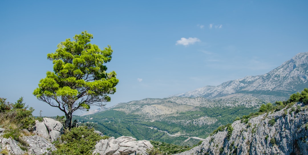 Hill station photo spot Omiš Blato