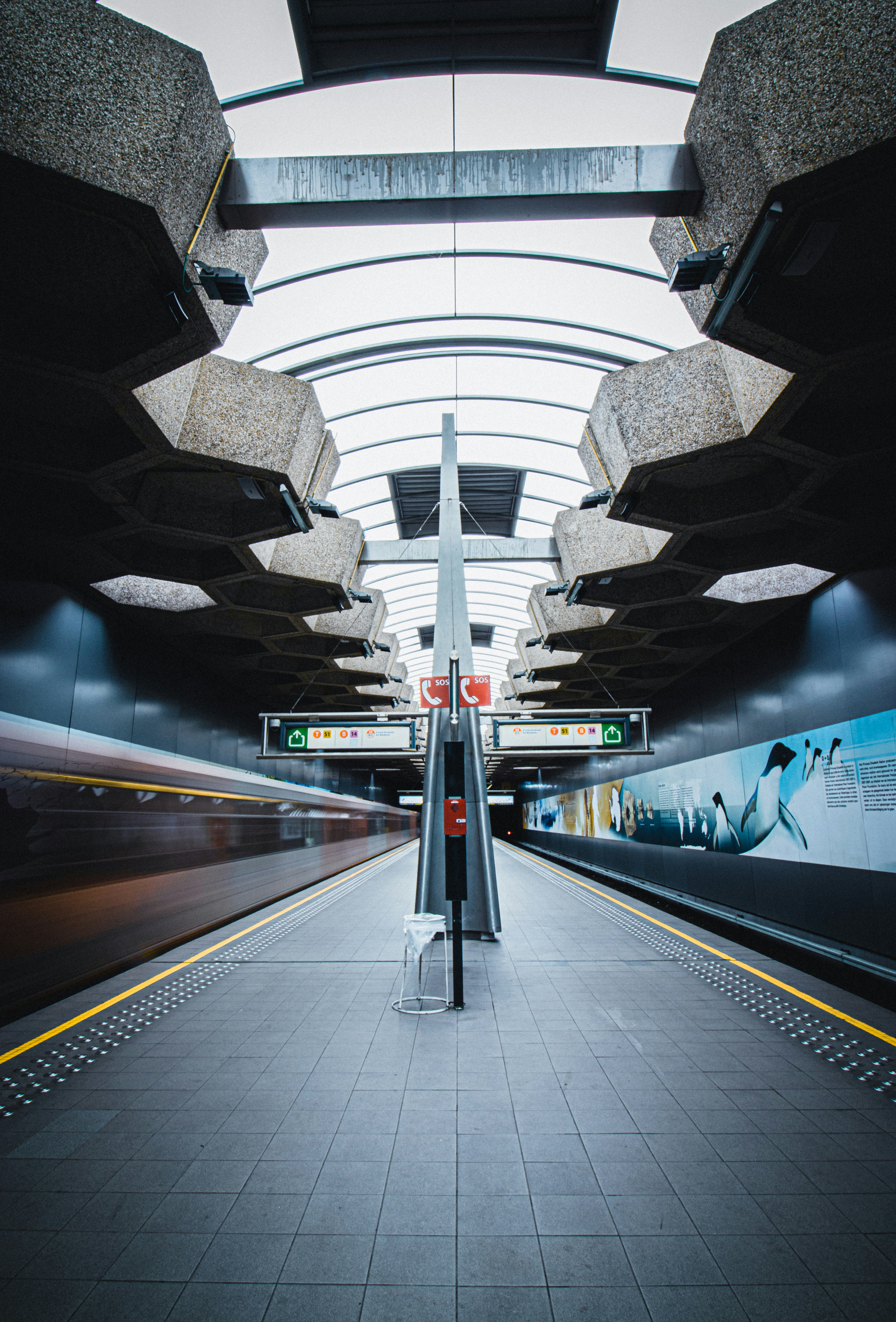 Photo by danieldalea