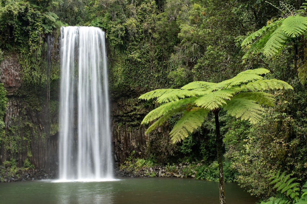 waterfalls in the middle of green trees