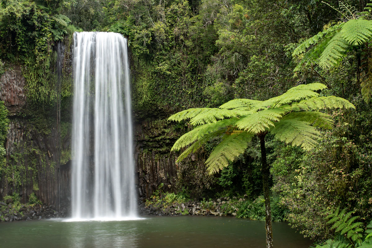 Millaa Millaa Falls surrounded by lush rainforest in North Queensland; photograph by David Clode
