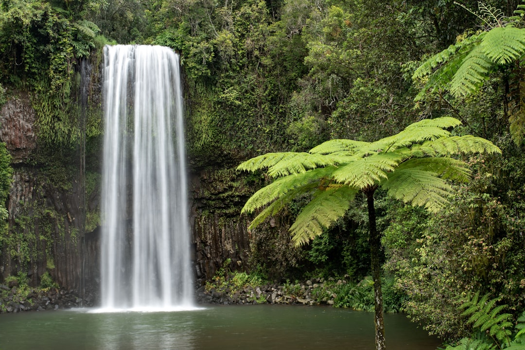 waterfalls in the middle of green trees