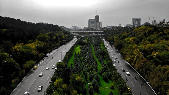 cars on road between trees during daytime in Taleghani Park Iran