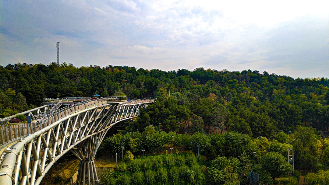 Bridge photo spot Tehran دریاچه چیتگر، Tehran