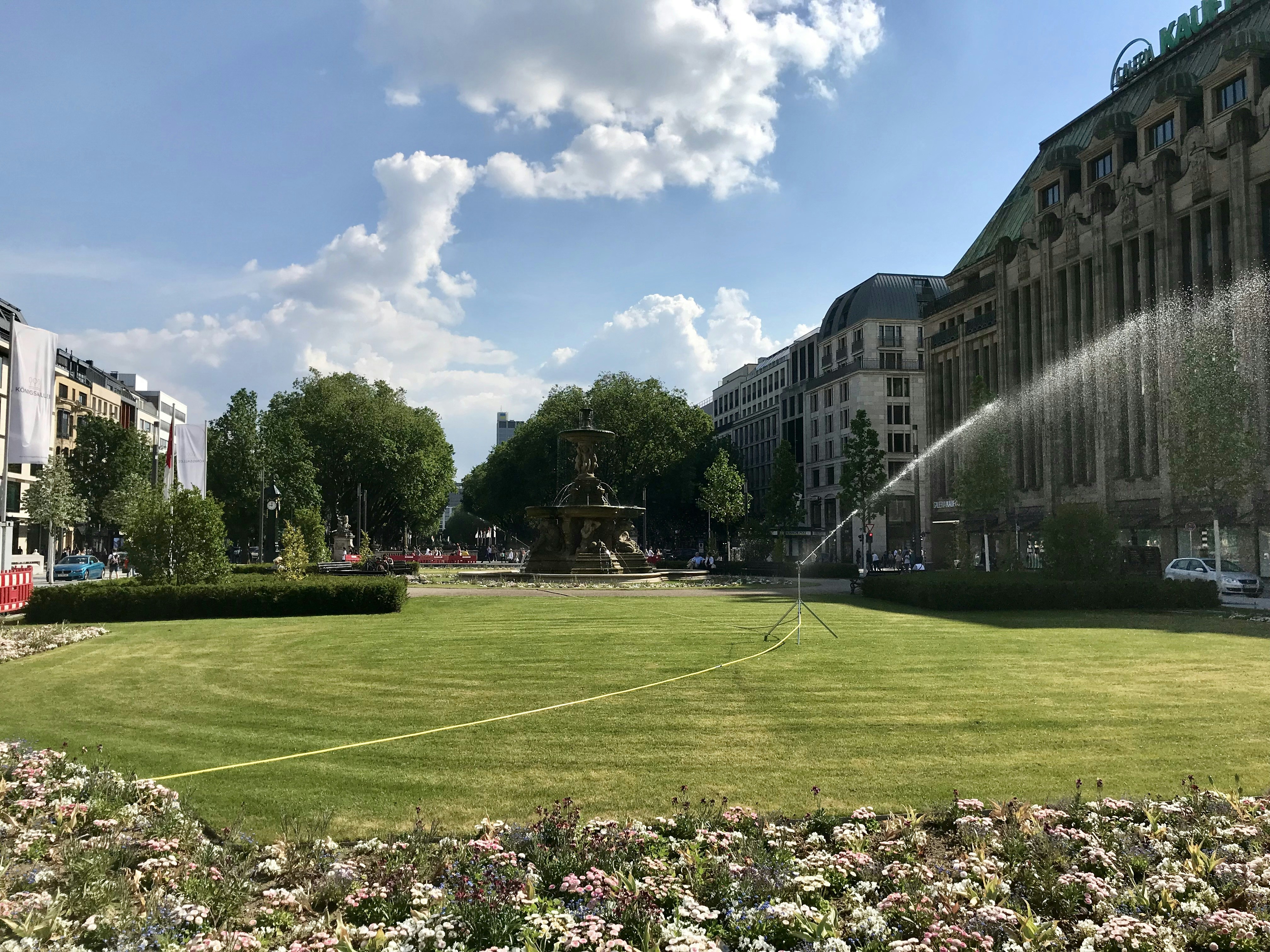 green grass field near building during daytime
