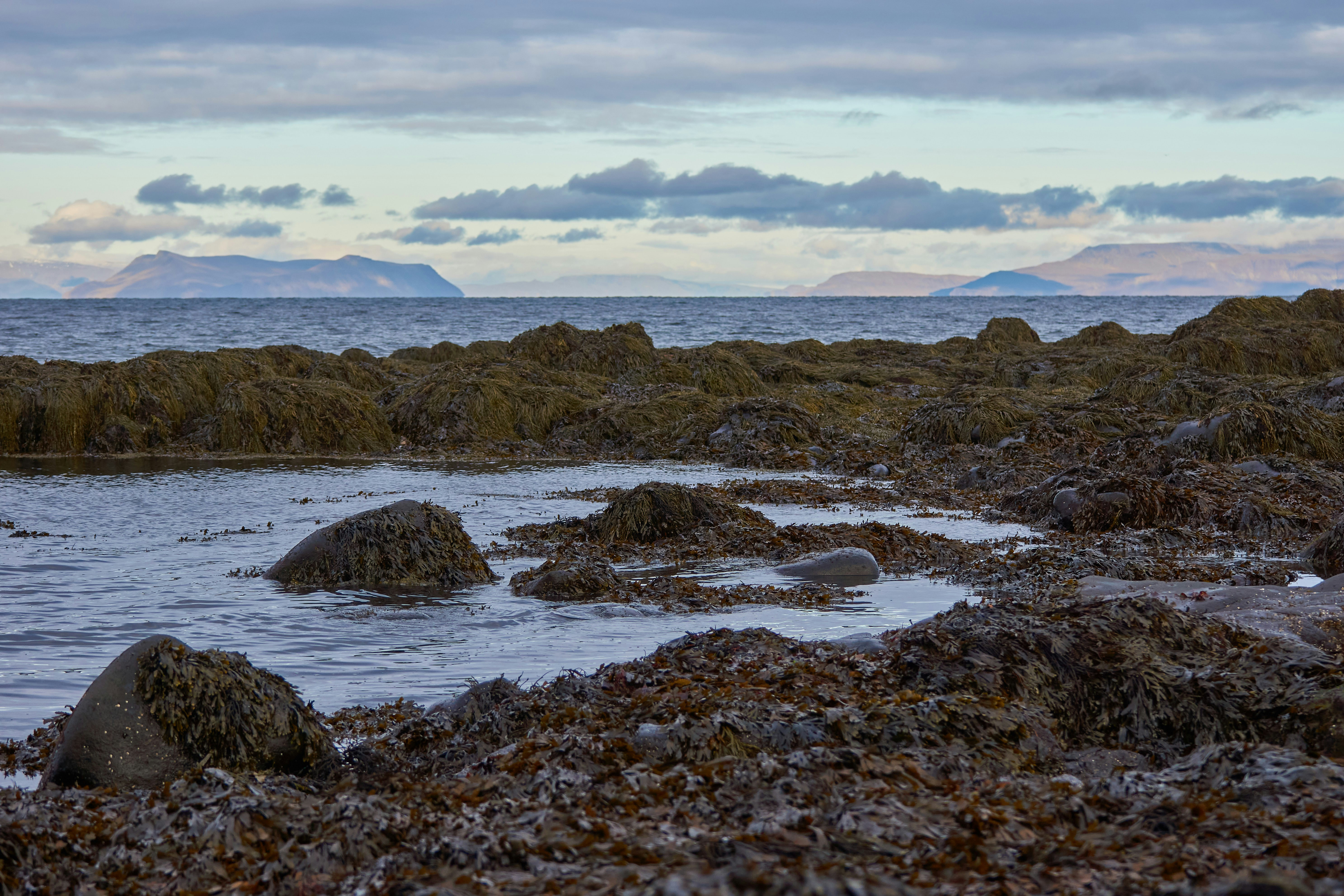 Photo by wolfgang_hasselmann