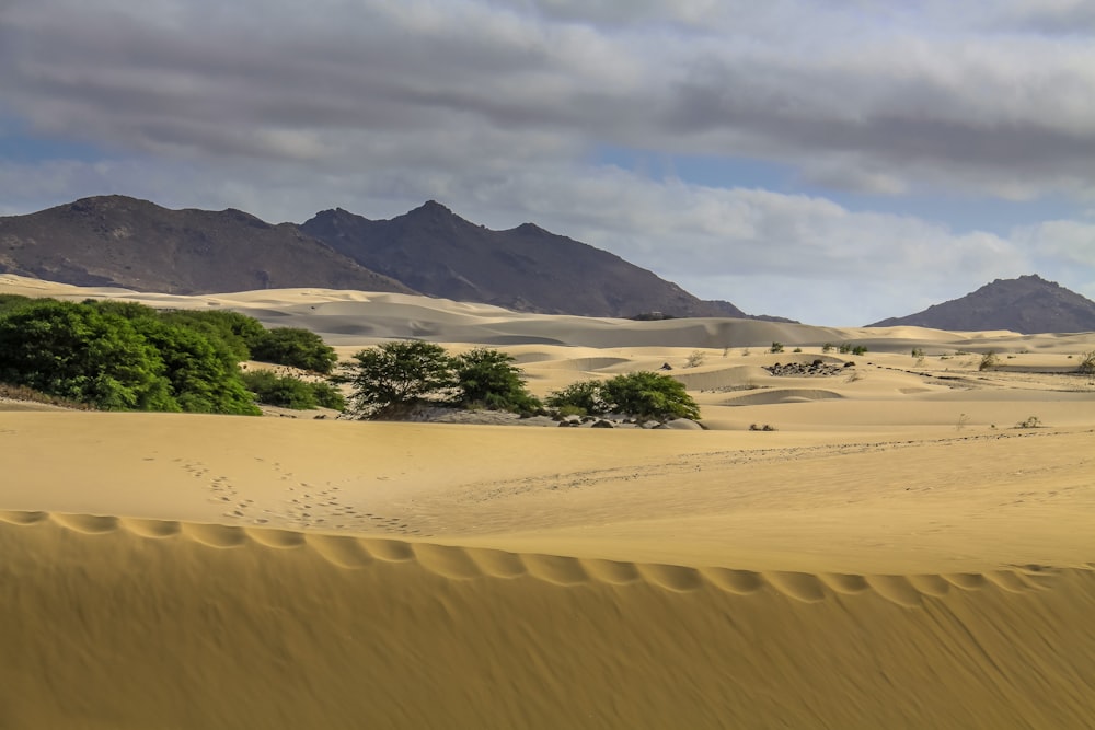 Sabbia marrone e campo di erba verde vicino alla montagna sotto nuvole bianche e cielo blu durante il giorno