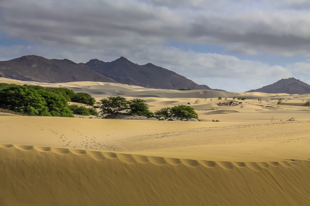 brown sand and green grass field near mountain under white clouds and blue sky during daytime