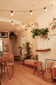 green indoor plant near brown wooden table