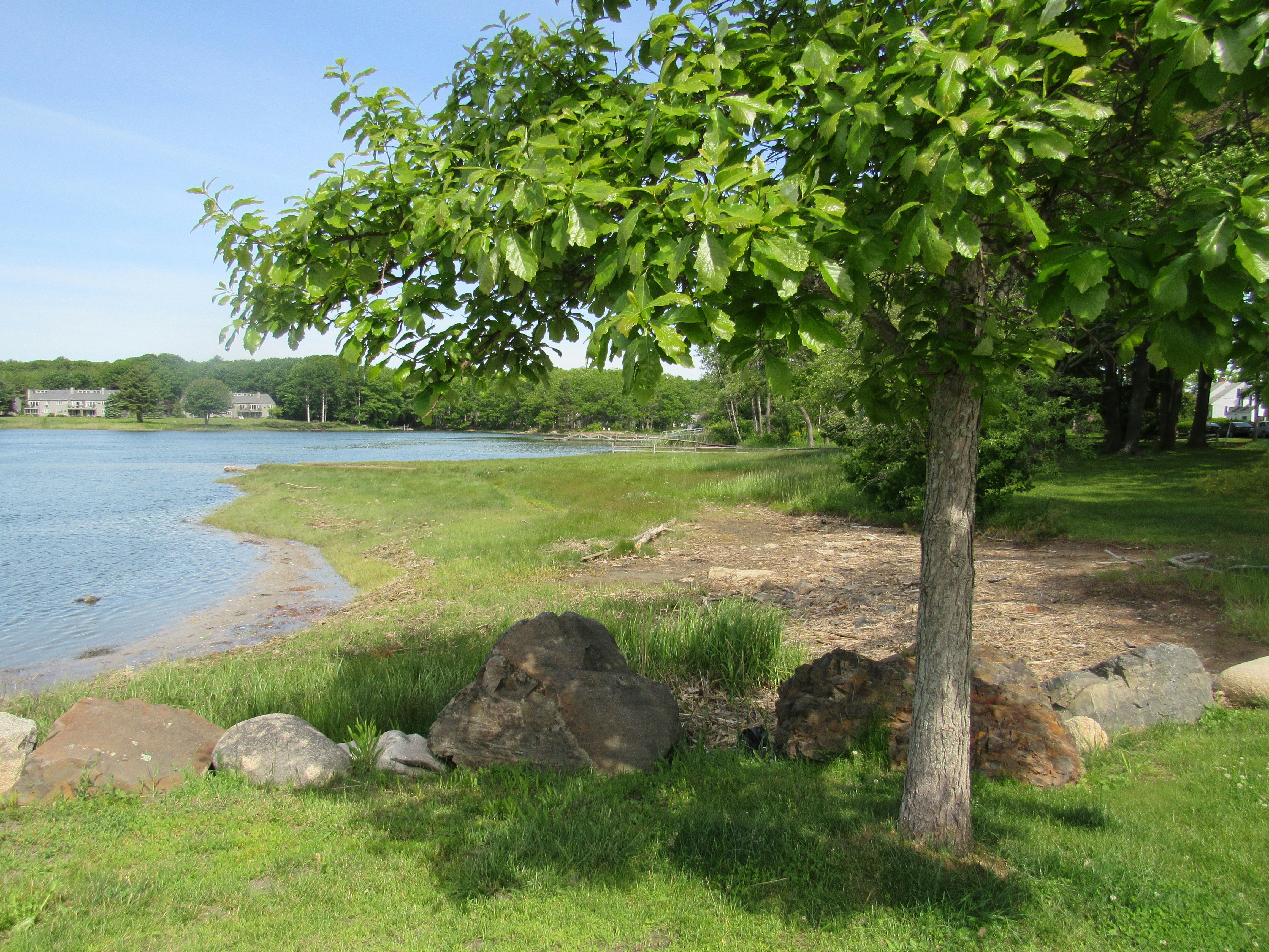 Photo by domscribe48